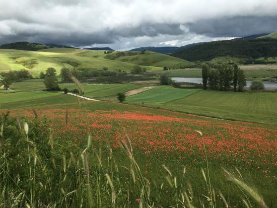 Museo naturalistico del Parco di Colfiorito